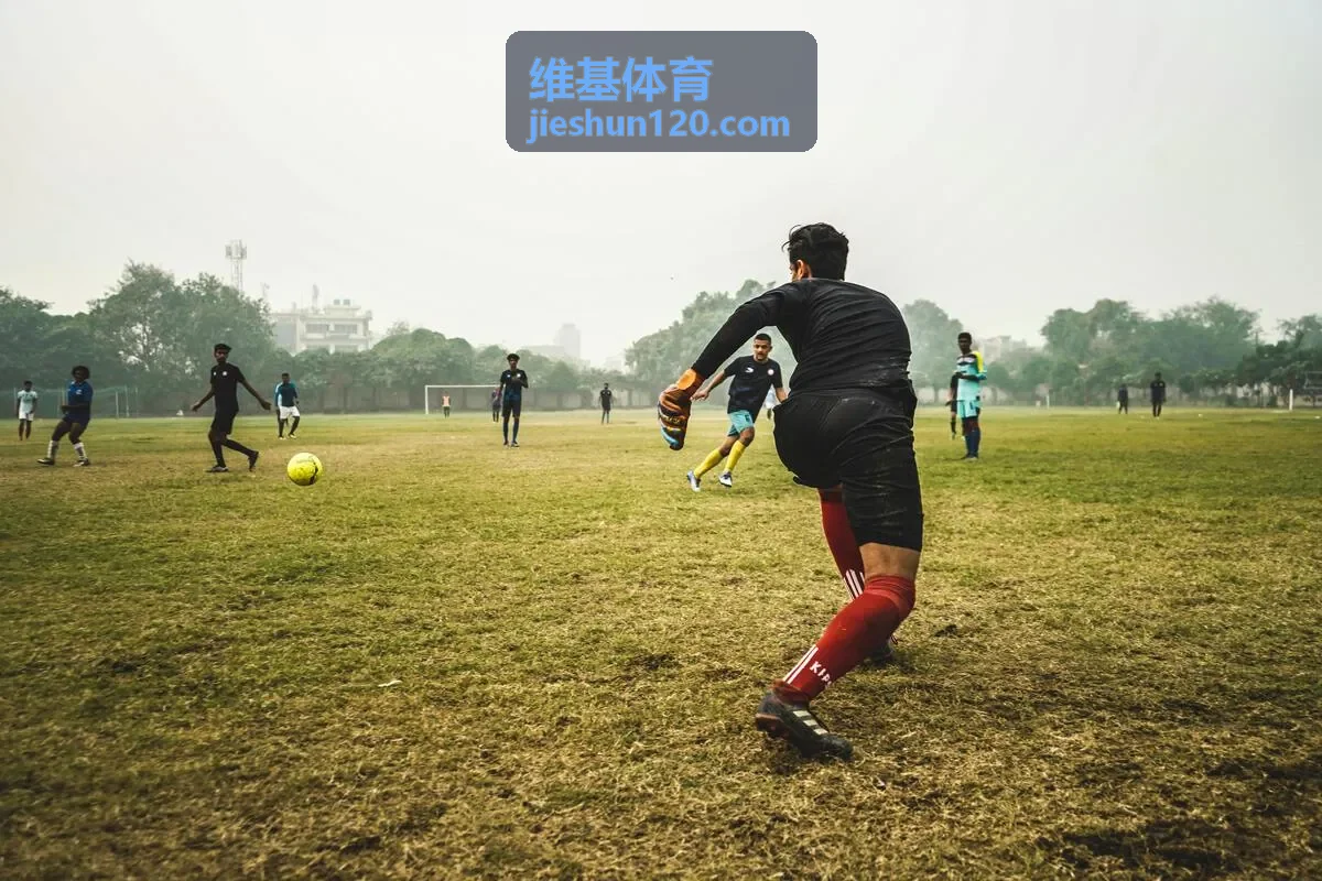 训练数据分析